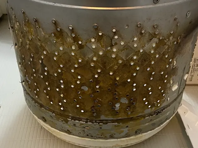 期間限定値下げ中！毎日使う洗濯機、分解洗浄致します！！サービスの画像