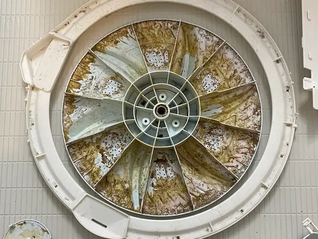 期間限定値下げ中！毎日使う洗濯機、分解洗浄致します！！サービスの画像