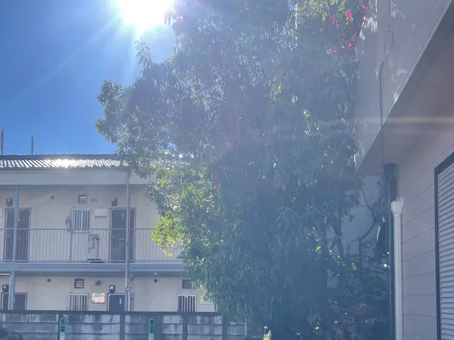 ☆庭木の剪定お任せください☆お庭、空き家、アパート、お寺、遊休地など☆サービスの画像