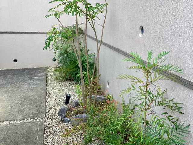 ☆庭木の剪定お任せください☆お庭、空き家、アパート、お寺、遊休地など☆サービスの画像