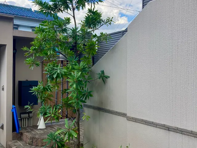 ☆庭木の剪定お任せください☆お庭、空き家、アパート、お寺、遊休地など☆サービスの画像