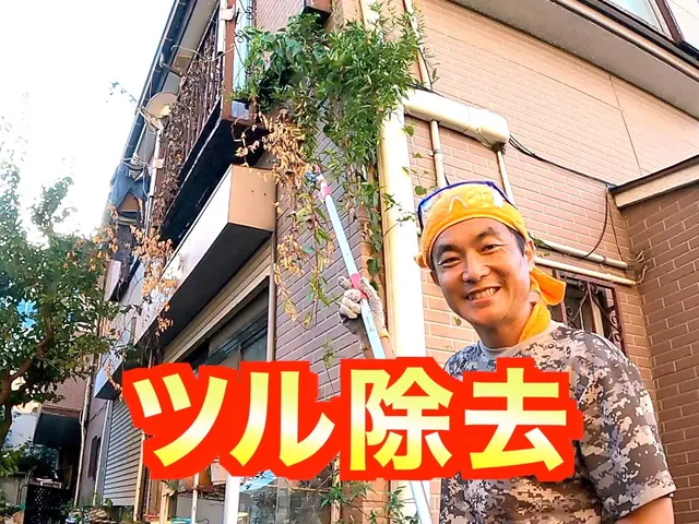 【嶌(つた)除去６６００円〜】葛ツタ蔓系植物を撤去します！☆損害保険適応☆サービスの画像