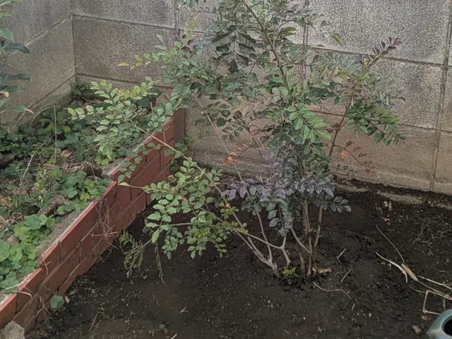 プロの技術でご満足いただけるように心を込めて作業いたしますサービスの画像