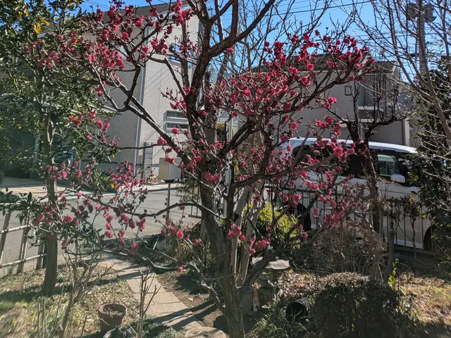 プロの技術でご満足いただけるように心を込めて作業いたしますサービスの画像