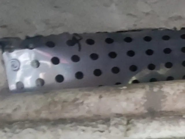 【駆除歴20年以上】店長訪問/ネズミお困り解決‼サービスの画像