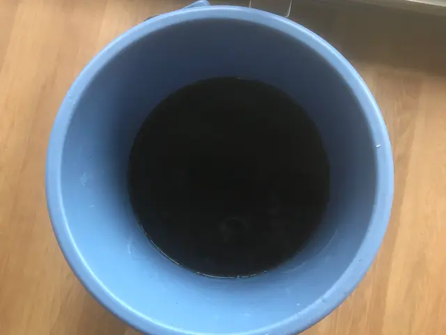 ご予約はお早めに！綺麗な空気でお部屋を爽やかにしましょう！サービスの画像