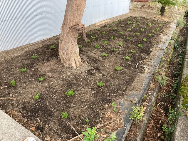 お庭や空き家の管理辛い草むしり作業はお任せ下さい！サービスの画像