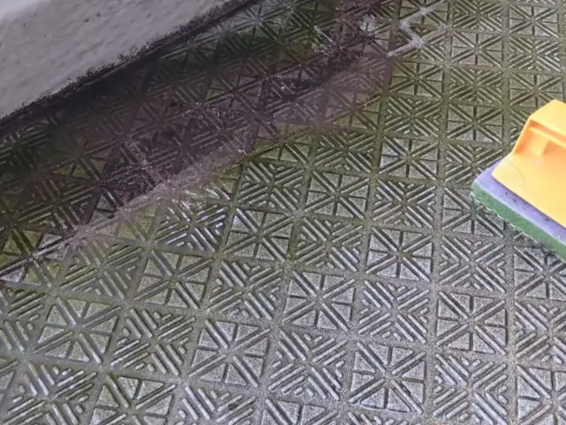 大手企業で実績信頼安心今だけの期間限定値段サービスの画像