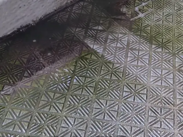 大手企業で実績信頼安心今だけの期間限定値段サービスの画像