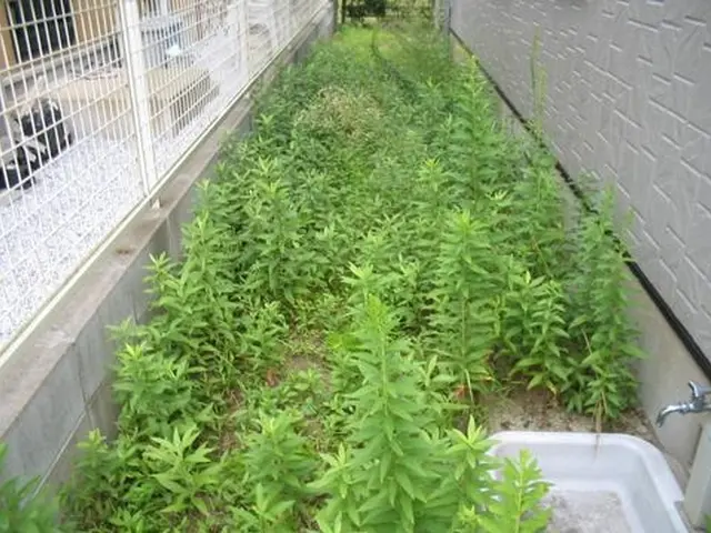 ◆①草取り・地盤整地→②防草シート→③砂利の手順です。◆簡単で安価な雑草対策！サービスの画像