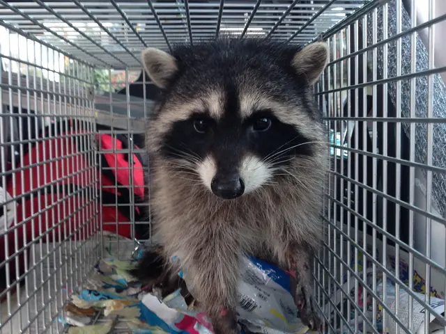 ★害虫・害獣の駆除ならお任せください♪　★即日対応可能　★クレカ使用可！サービスの画像