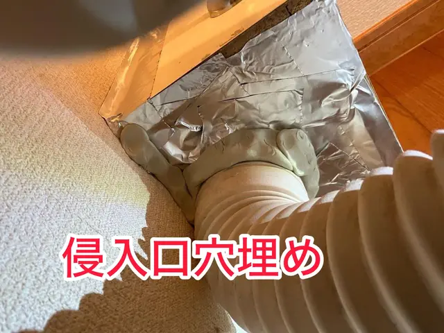 クモ駆除予防を予約すれば料金内でゴキブリ予防もセット！床面積×600円！関西！サービスの画像