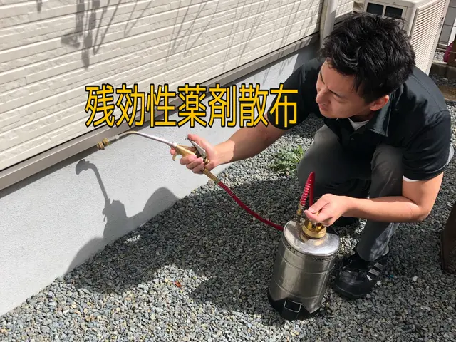 クモ駆除予防を予約すれば料金内でゴキブリ予防もセット！床面積×600円！関西！サービスの画像