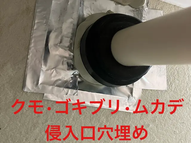 クモ駆除予防を予約すれば料金内でゴキブリ予防もセット！床面積×600円！関西！サービスの画像