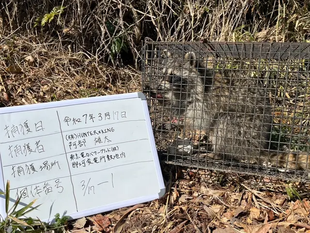 【環境省の認定事業者】★ハクビシン駆除のプロが対応★24時間対応★お見積り無料サービスの画像