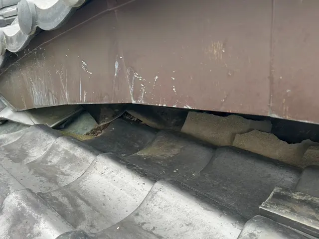 【環境省の認定事業者】★ハクビシン駆除のプロが対応★24時間対応★お見積り無料サービスの画像