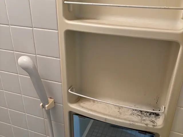 【6月出店】1000件の実績！法人からの依頼あり！大手での実績あり！サービスの画像