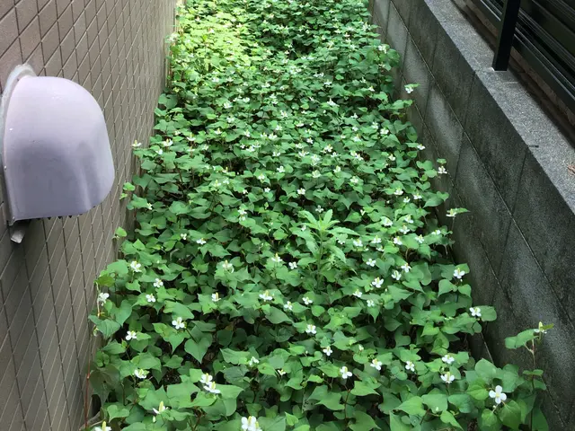 お客様のお力になります！経験と知識を活かして迅速丁寧に作業いたします！サービスの画像