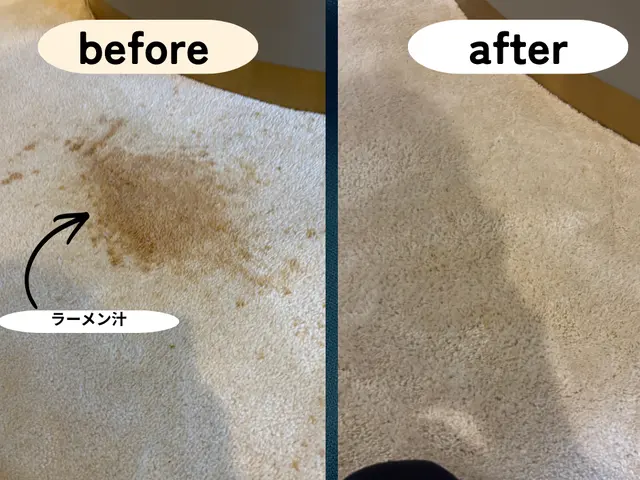 出張カーペットクリーニング｜年中無休◎100%自社対応◎保険加入サービスの画像