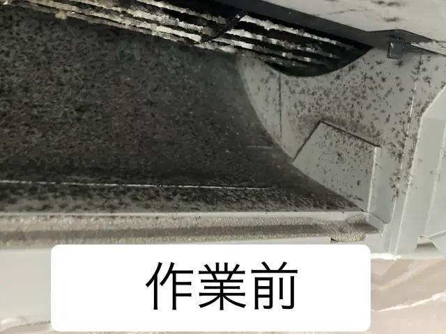 安心のオーガニック洗剤可！3／28限定1000円オフで1台7000円サービスの画像