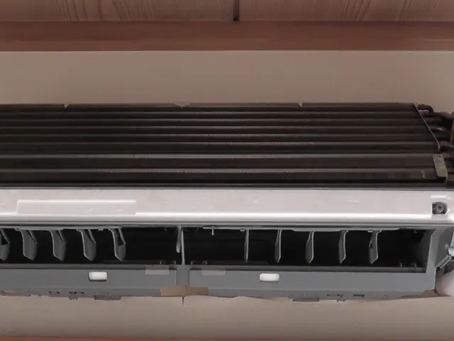 安心のオーガニック洗剤可！本格的に使う前にお手入れをサービスの画像