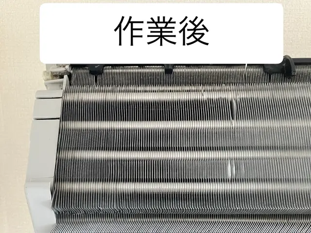 安心のオーガニック洗剤可！3／28限定1000円オフで1台7000円サービスの画像