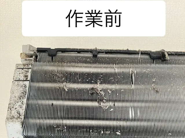 安心のオーガニック洗剤可！3／28限定1000円オフで1台7000円サービスの画像