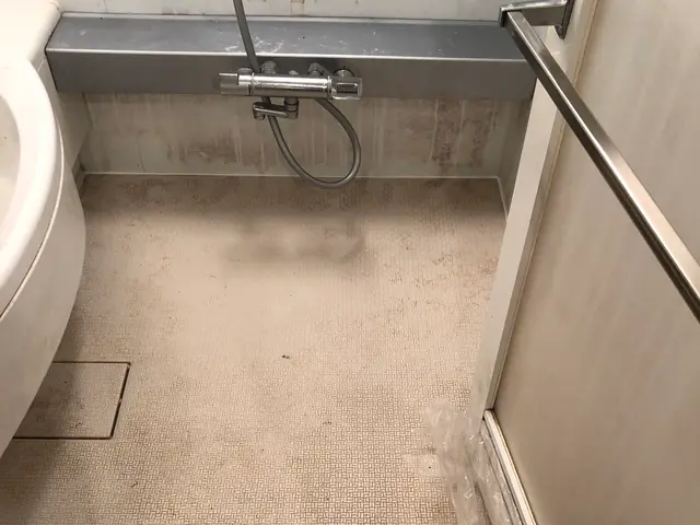 ★必ず女性が訪問★浴室クリーニングのことならお任せ下さい！サービスの画像