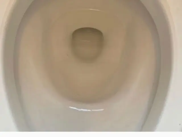 12月予約開始(^^)◎汚れ追加なし◎安心の損害保険◎スタッフ全員非喫煙者です。サービスの画像