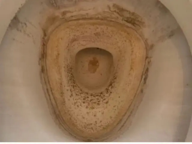 12月予約開始(^^)◎汚れ追加なし◎安心の損害保険◎スタッフ全員非喫煙者です。サービスの画像