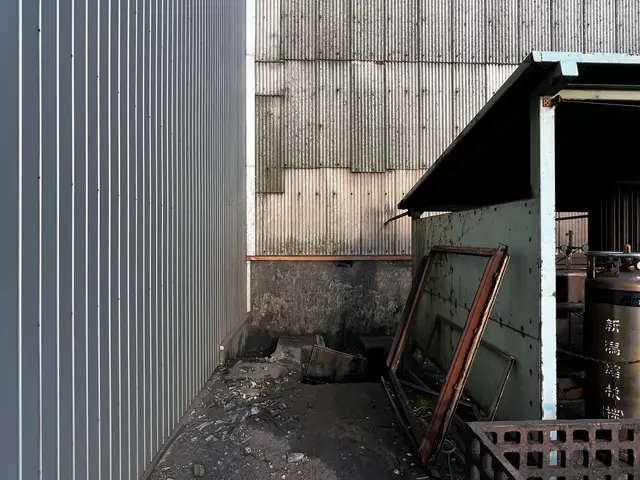 ツタを除去して住まいスッキリ！サービスの画像