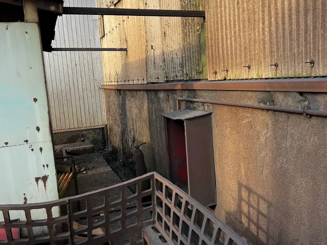 ツタを除去して住まいスッキリ！サービスの画像