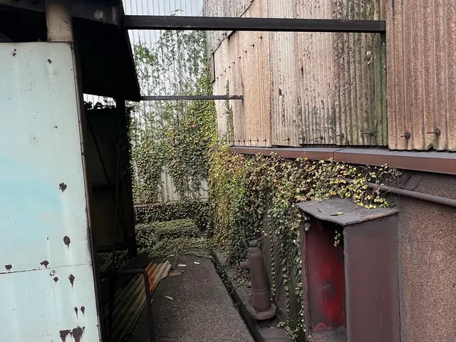 ツタを除去して住まいスッキリ！サービスの画像