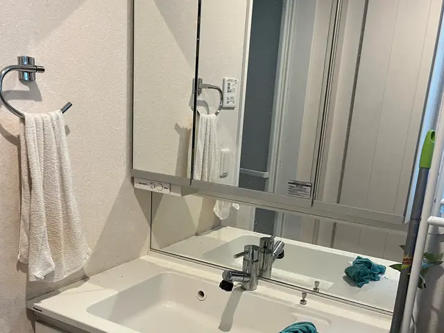 全国300店舗以上持つノウハウでいつもの洗面所を少しおしゃれなに清潔に清掃しますサービスの画像