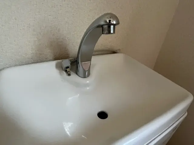 全国300店舗以上持つノウハウでいつもの洗面所を少しおしゃれなに清潔に清掃しますサービスの画像