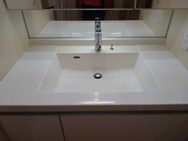 全国300店舗以上持つノウハウでいつもの洗面所を少しおしゃれなに清潔に清掃しますサービスの画像