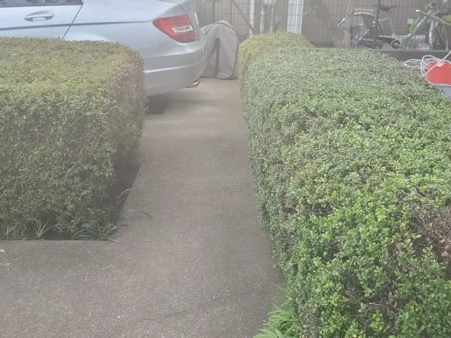 高木剪定もバッチリ！業界歴6年、作業実績1,000件の庭木整備専門店サービスの画像