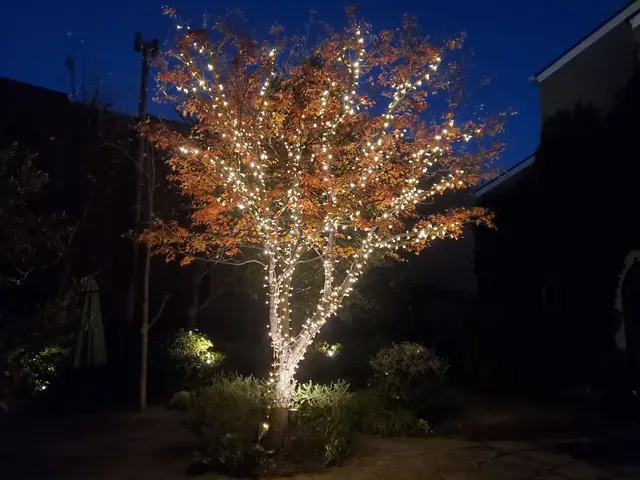 高木剪定もバッチリ！業界歴6年、作業実績1,000件の庭木整備専門店サービスの画像