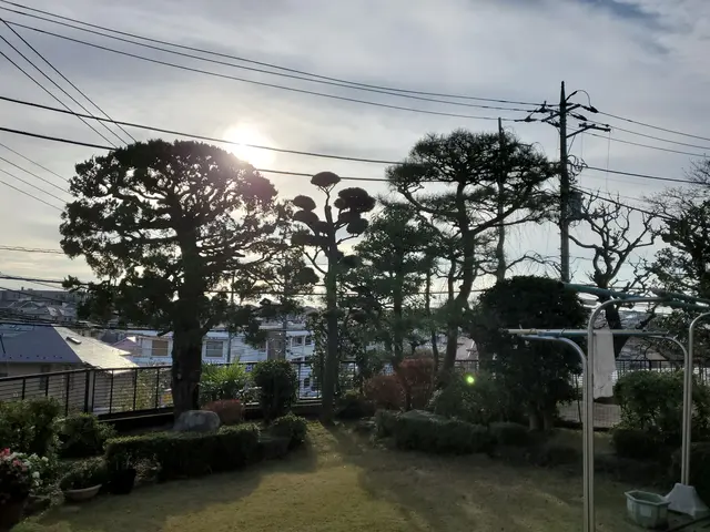 高木剪定もバッチリ！業界歴6年、作業実績1,000件の庭木整備専門店サービスの画像