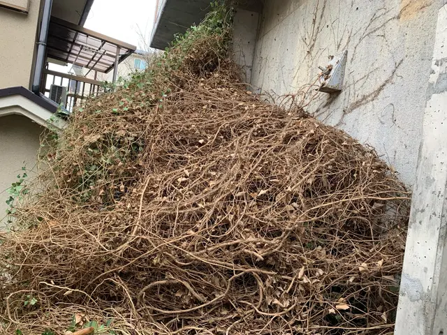 【業歴10年の実績】必ずお望み叶えます！年中無休予約から施工まで100%自社対応サービスの画像