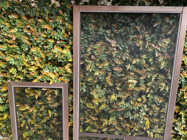 【お得に張り替え】３枚以上から！10枚以上は大幅に値引き！インボイス対応です！サービスの画像