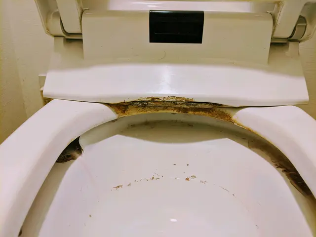 【電車移動の極上クリーニング】駐車場不要！サービスの画像