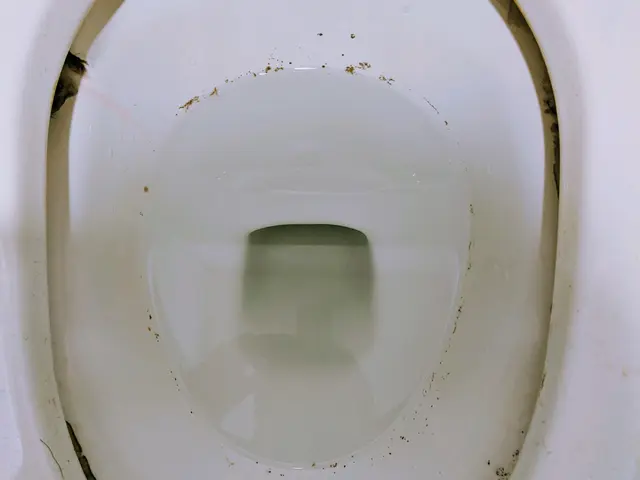 【電車移動の極上クリーニング】駐車場不要！サービスの画像