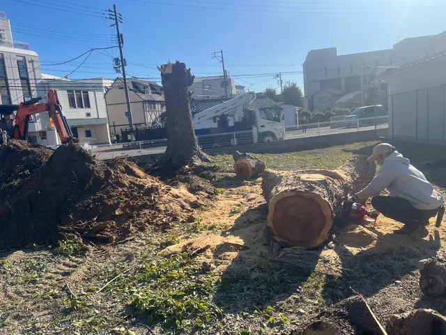 小さな木から巨木まで樹齢200年超える巨木抜根経験有◎無事故10年継続中◎サービスの画像