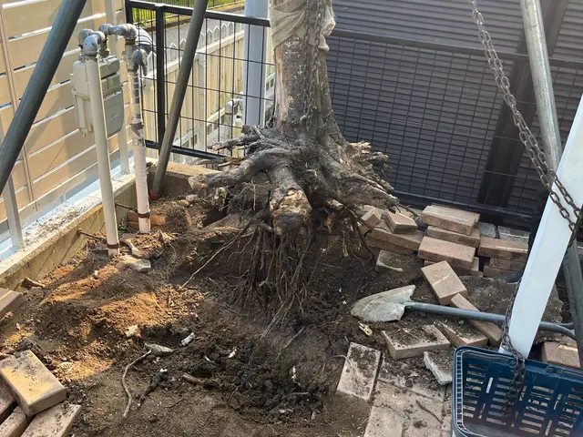 小さな木から巨木まで樹齢200年超える巨木抜根経験有◎無事故10年継続中◎サービスの画像