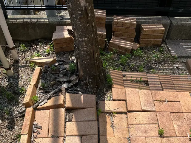 小さな木から巨木まで樹齢200年超える巨木抜根経験有◎無事故10年継続中◎サービスの画像