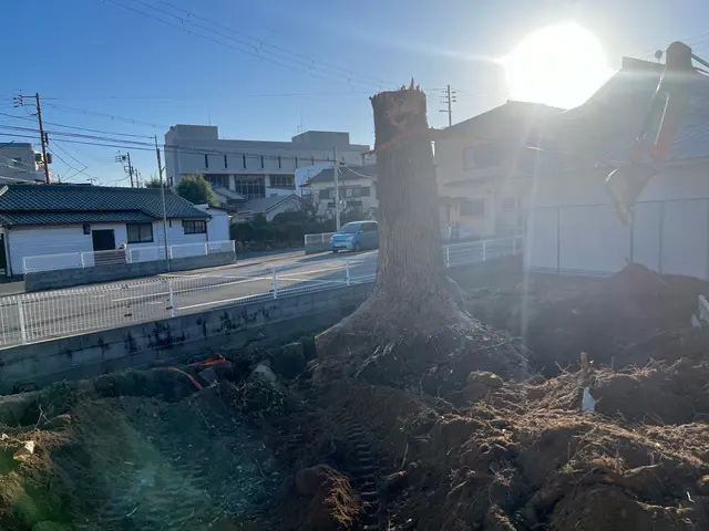 小さな木から巨木まで樹齢200年超える巨木抜根経験有◎無事故10年継続中◎サービスの画像