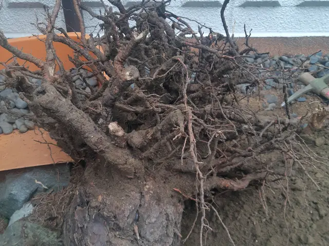 【★割引あり★】創業200年を越える老舗で10年以上修行をした店主！サービスの画像