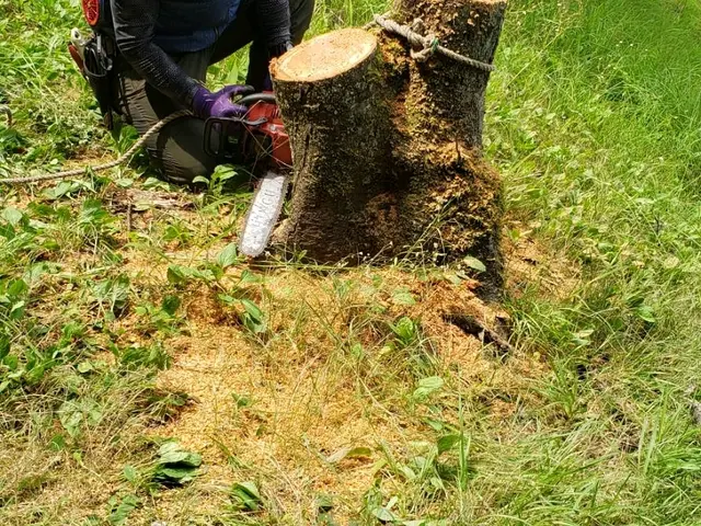 【★割引あり★】創業200年を越える老舗で10年以上修行をした店主！サービスの画像