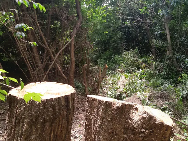 【★割引あり★】創業200年を越える老舗で10年以上修行をした店主！サービスの画像